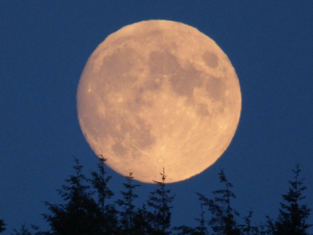 Hunters Moon B&B Tidworth Екстер'єр фото